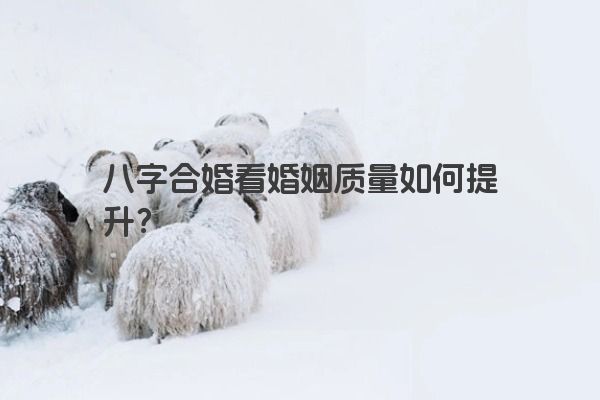 八字合婚看婚姻质量如何提升？