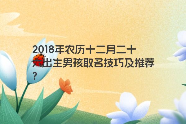 2018年农历十二月二十六出生男孩取名技巧及推荐？