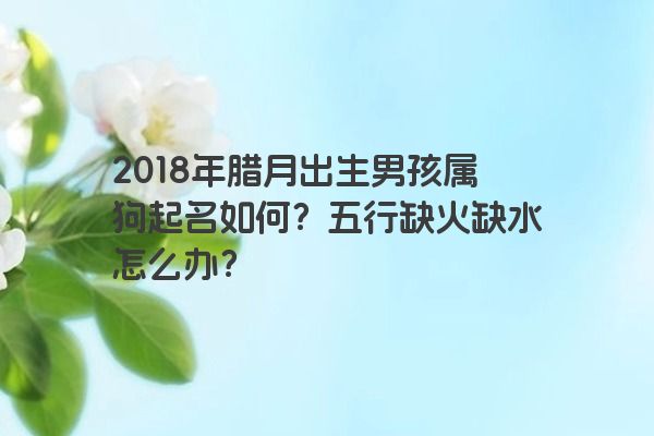 2018年腊月出生男孩属狗起名如何？五行缺火缺水怎么办？