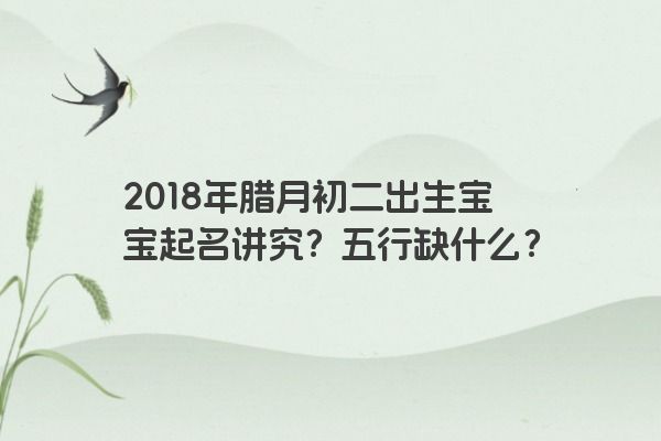 2018年腊月初二出生宝宝起名讲究？五行缺什么？