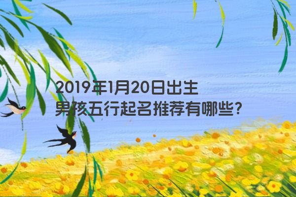 2019年1月20日出生男孩五行起名推荐有哪些？