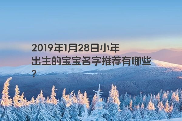 2019年1月28日小年出生的宝宝名字推荐有哪些？