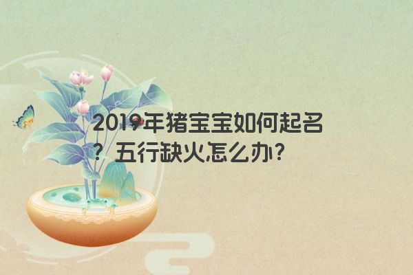 2019年猪宝宝如何起名？五行缺火怎么办？
