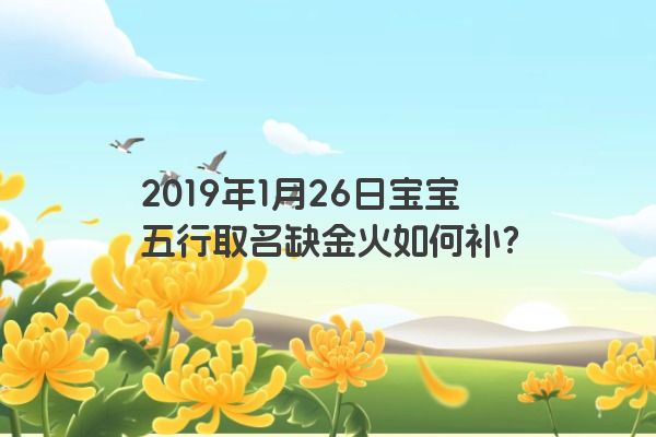 2019年1月26日宝宝五行取名缺金火如何补？