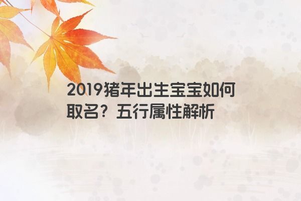 2019猪年出生宝宝如何取名？五行属性解析