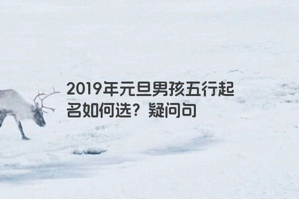 2019年元旦男孩五行起名如何选？疑问句