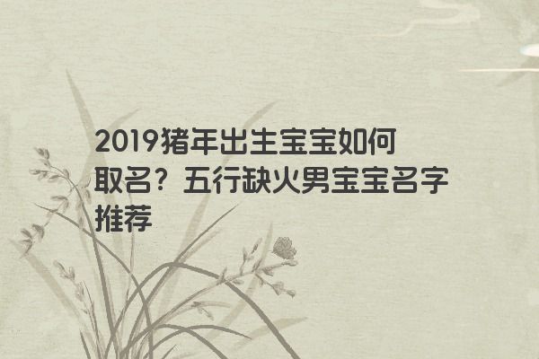 2019猪年出生宝宝如何取名？五行缺火男宝宝名字推荐