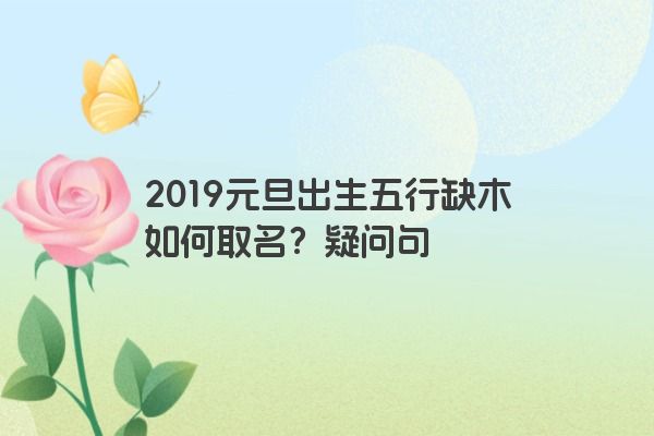 2019元旦出生五行缺木如何取名？疑问句
