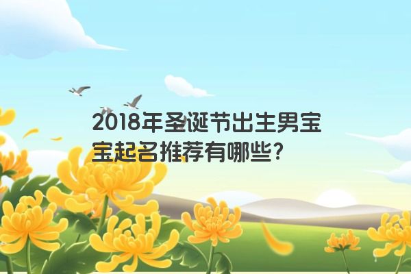 2018年圣诞节出生男宝宝起名推荐有哪些？