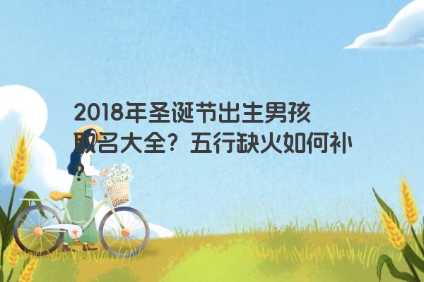 2018年圣诞节出生男孩取名大全？五行缺火如何补？