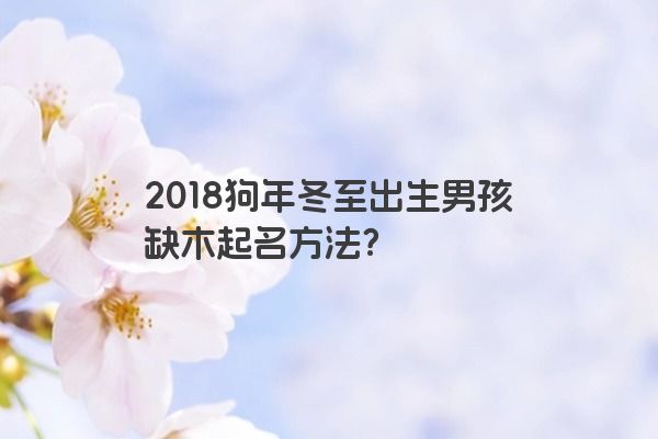 2018狗年冬至出生男孩缺木起名方法？