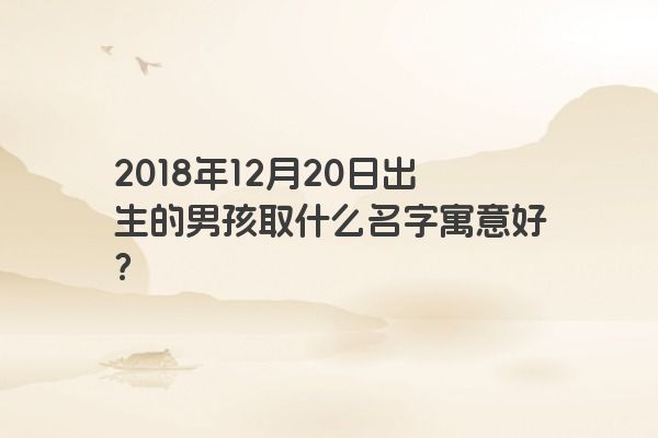 2018年12月20日出生的男孩取什么名字寓意好？