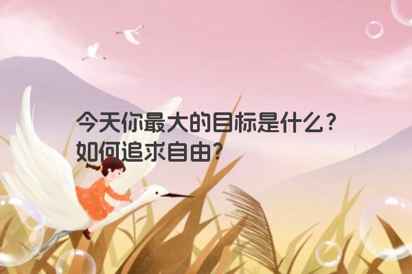 今天你最大的目标就是找到和追求属于你的自由吗？如何实现？