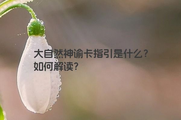 大自然神谕卡指引是什么？如何解读？