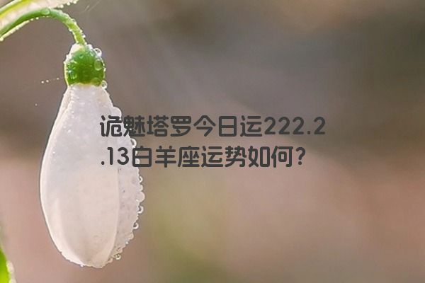 诡魅塔罗今日运222.2.13白羊座运势如何？