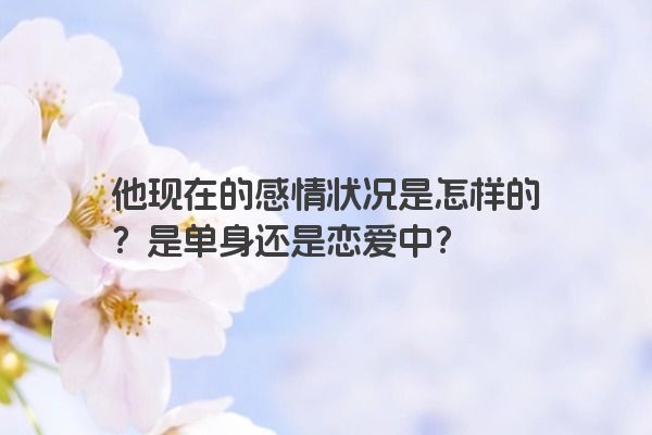 他现在的感情状况是怎样的？是单身还是恋爱中？