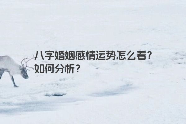 八字婚姻感情运势怎么看？如何分析？
