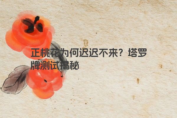 正桃花为何迟迟不来？塔罗牌测试揭秘