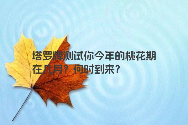 塔罗牌测试你今年的桃花期在几月？何时到来？