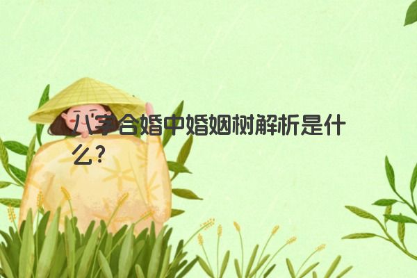 八字合婚中婚姻树解析是什么？