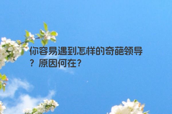 你容易遇到怎样的奇葩领导？原因何在？