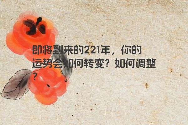 即将到来的221年，你的运势会如何转变？如何调整？