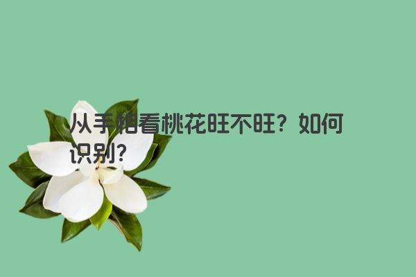 从手相看桃花旺不旺？如何识别？