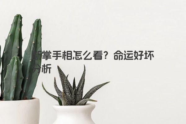 断掌手相怎么看？命运好坏分析