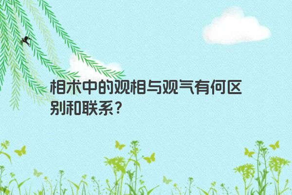 相术中的观相与观气有何区别和联系？