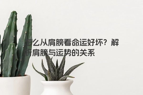 怎么从肩膀看命运好坏？解析肩膀与运势的关系