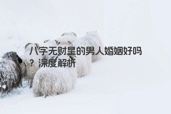 八字无财星的男人婚姻好吗？深度解析