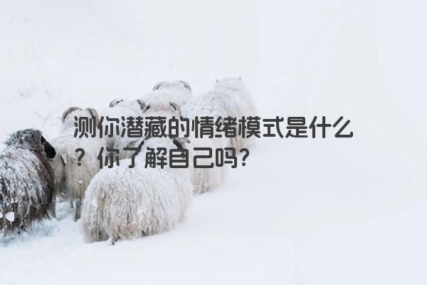 测你潜藏的情绪模式是什么？你了解自己吗？