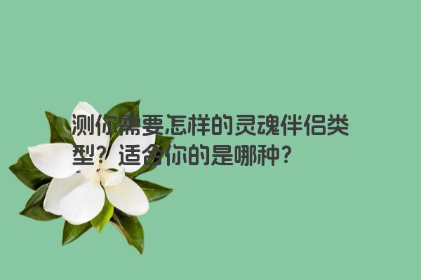 测你需要怎样的灵魂伴侣类型？适合你的是哪种？