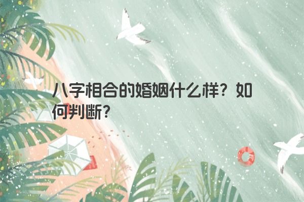 八字相合的婚姻什么样？如何判断？