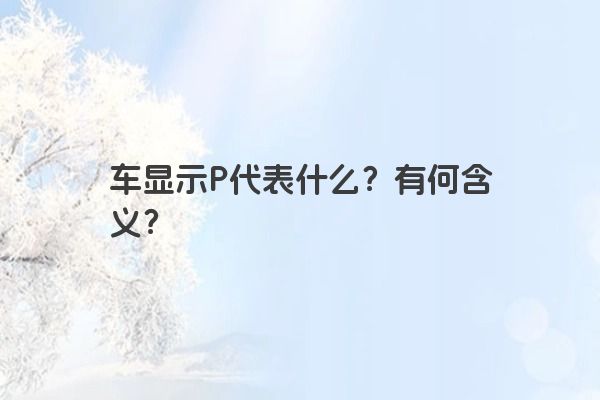 车显示P代表什么？有何含义？