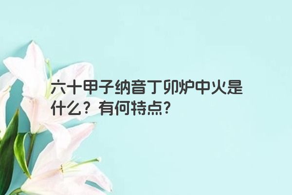 六十甲子纳音丁卯炉中火是什么？有何特点？