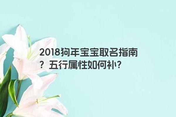 2018狗年宝宝取名指南？五行属性如何补？