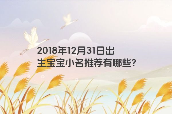 2018年12月31日出生宝宝小名推荐有哪些？