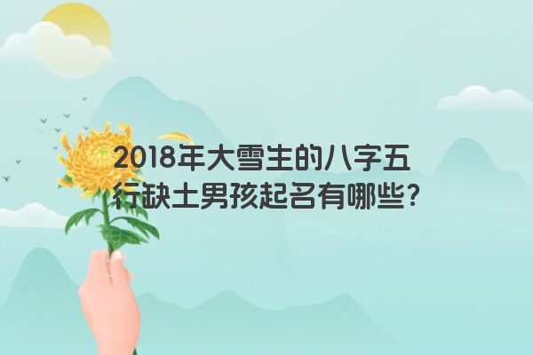 2018年大雪生的八字五行缺土男孩起名有哪些？