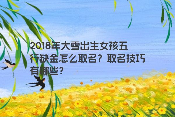 2018年大雪出生女孩五行缺金怎么取名？取名技巧有哪些？