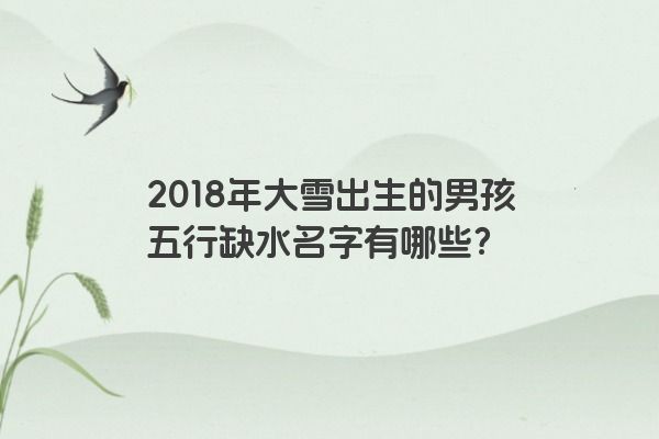 2018年大雪出生的男孩五行缺水名字有哪些？