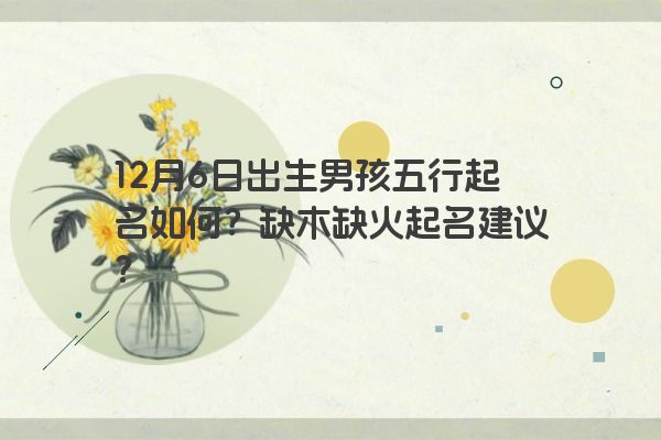 12月6日出生男孩五行起名如何？缺木缺火起名建议？