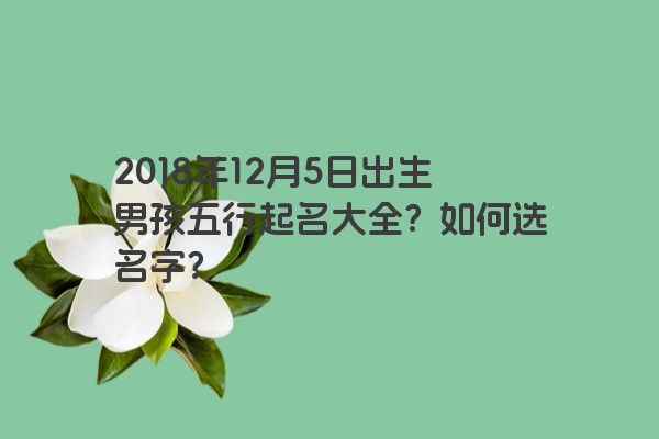 2018年12月5日出生男孩五行起名大全？如何选名字？