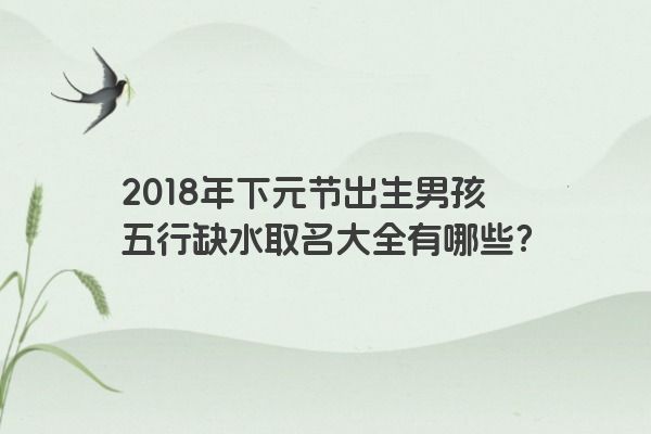 2018年下元节出生男孩五行缺水取名大全有哪些？