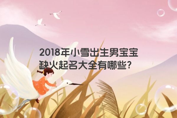 2018年小雪出生男宝宝缺火起名大全有哪些？