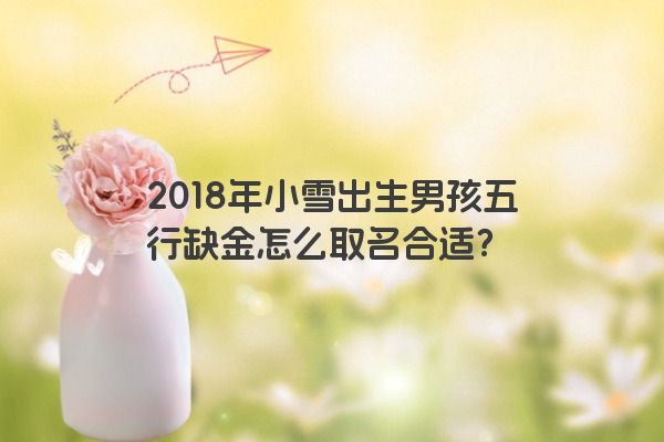 2018年小雪出生男孩五行缺金怎么取名合适？