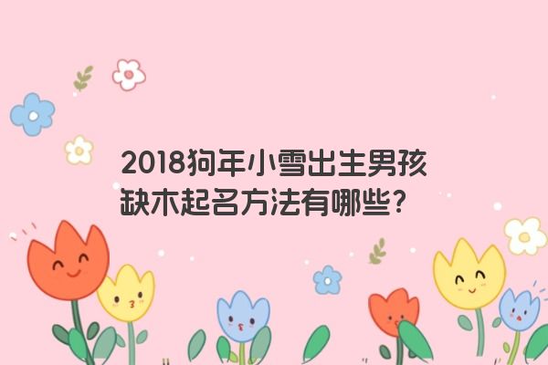2018狗年小雪出生男孩缺木起名方法有哪些？