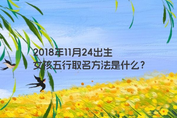 2018年11月24出生女孩五行取名方法是什么？