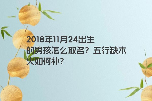 2018年11月24出生的男孩怎么取名？五行缺木火如何补？