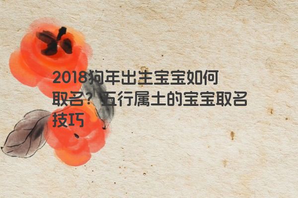 2018狗年出生宝宝如何取名？五行属土的宝宝取名技巧
